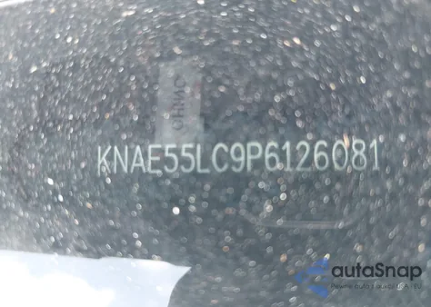 2023 Kia Stinger Gt2 from USA, damaged, VIN KNAE55LC9P6126081